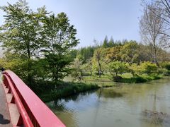 -花开海上生态园
