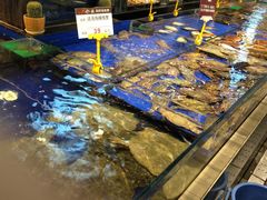 水产区-船歌·鱼水饺青岛菜(闽江二路店)