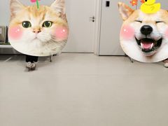 -上海市徐汇区口腔医院