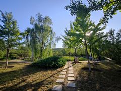 -滨河世纪广场公园