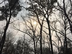 picture-南京汤山紫清湖生态旅游温泉度假区