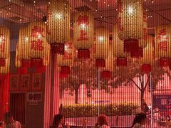 -朱光玉火锅馆(正弘城店)