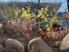 -国御温泉度假小镇