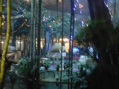 Photo-0197-绿色时代大酒店