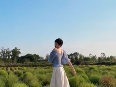 -映月湖中央公园