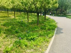 -东郊湿地公园