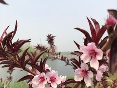 -永定河休闲森林公园