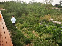 -汉长安城未央宫国家考古遗址公园