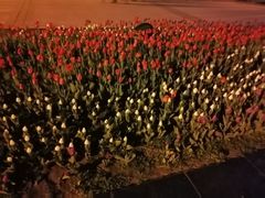 -长春公园(普阳街道)