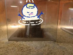 -酷嗒动物文化乐园(cutezoo西溪乐天城店)