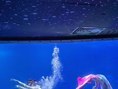 -海合安武汉极地海洋公园