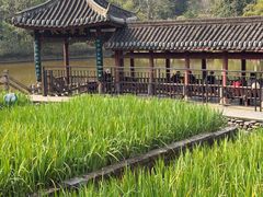 -龙头寺公园