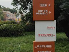 -神仙树公园