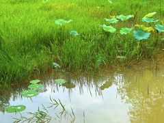 -仙店农庄(湖景农庄餐厅)