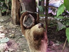 -正佳雨林生态植物园