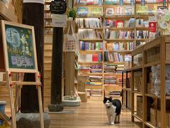 -猫的天空之城概念书店(杭州南宋御街店)