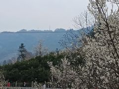 -樱桃山旅游景区