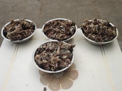 -马庆安羊汤馆(总店)