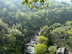 -石台牯牛降景区