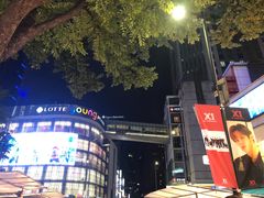 -乐天免税店(明洞店)