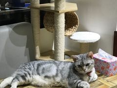 -小时光咖啡馆(开森度假森林店)