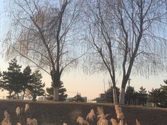 -莫子山公园