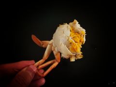 清蒸奄仔蟹-天伦里餐厅(绿城桃花源店)