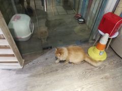 -小时光咖啡馆(开森度假森林店)