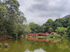 -深圳仙湖植物园