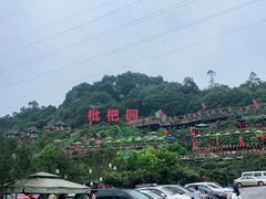 -枇杷园食为鲜火锅(南山店)