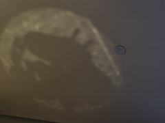 -全季酒店（上海南站徐汇万科中心店）(原冠生园路店)