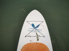 -WhaleSports户外水上运动俱乐部(朝阳公园店)