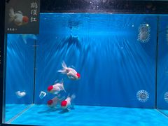 -闽江夜游台江旅游码头