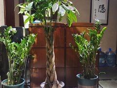 -小隐足道·按摩·主题SPA馆(西红门店)