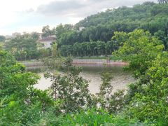 -大屏嶂森林公园