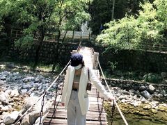 -秦岭风景区