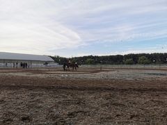 -月河湾马术俱乐部(朝阳店)