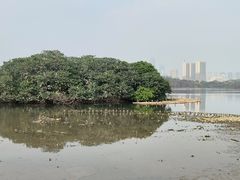 -海珠湖公园