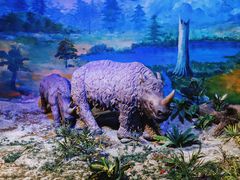 -中国第四纪冰川遗迹陈列馆