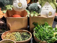 -大龙燚·旷野鲜火锅(广州首店)