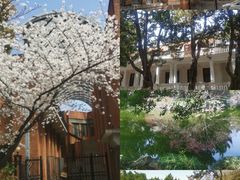 -叶家花园