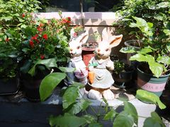 -后海16号·北京私房菜