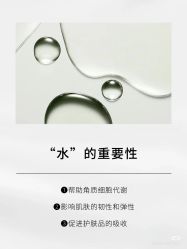 -玛莲朵·海菲秀冰珀科