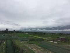 -翠田Green Field Kitchen