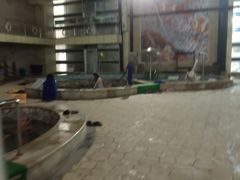 -南宫温泉水世界