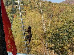 -红山国家森林公园