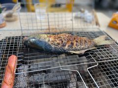 -牙山果园·烧烤野炊·钓鱼团建·烤全羊