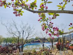 -泰山风景名胜区-虎山公园