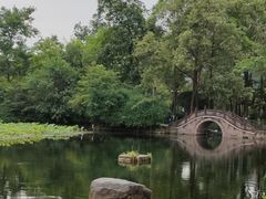 -桂湖森林公园
