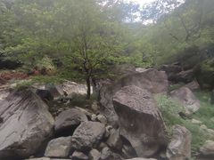 -泽雅七瀑涧景区